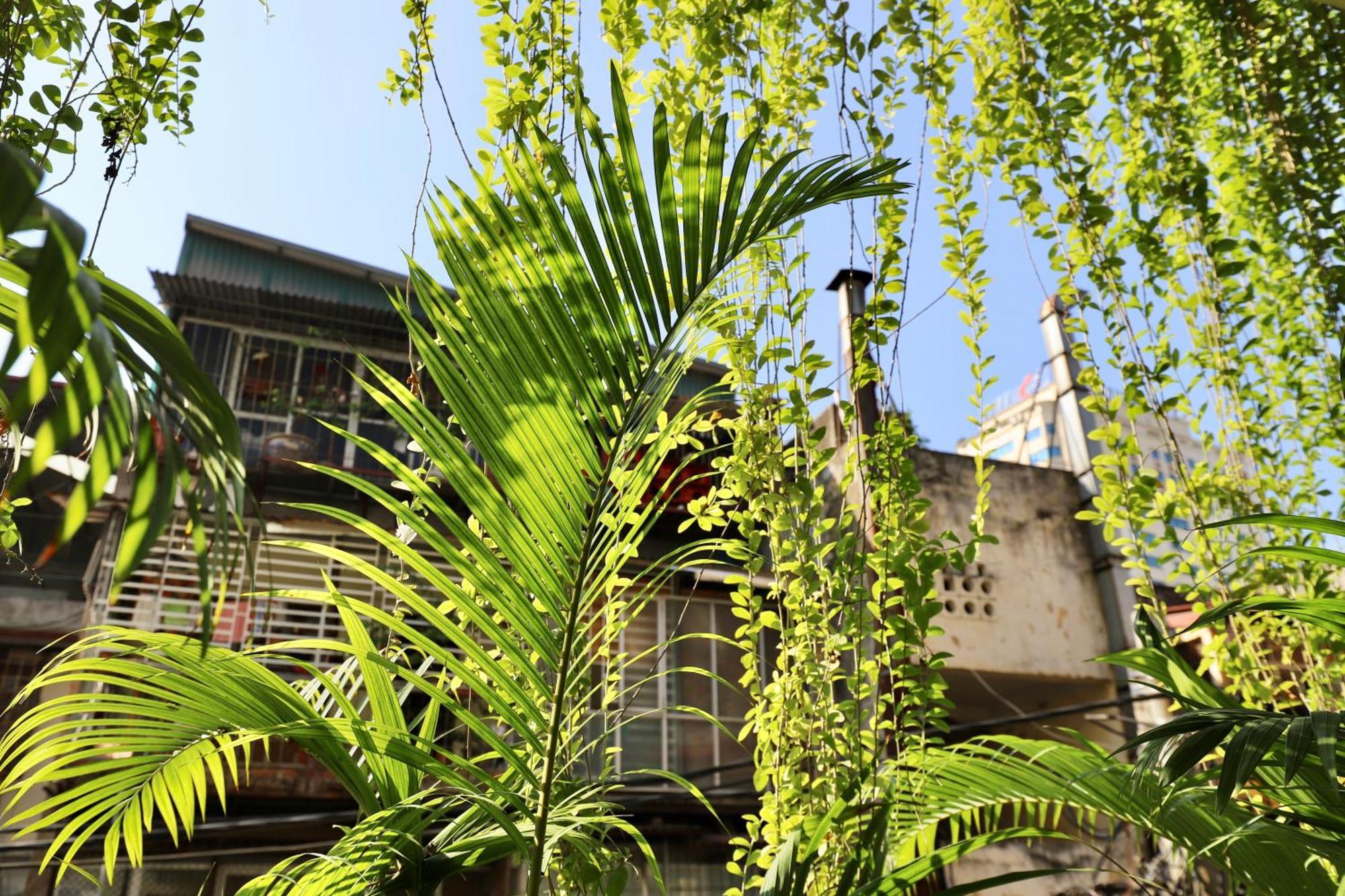 The Garden House Lejlighed Hanoi Eksteriør billede