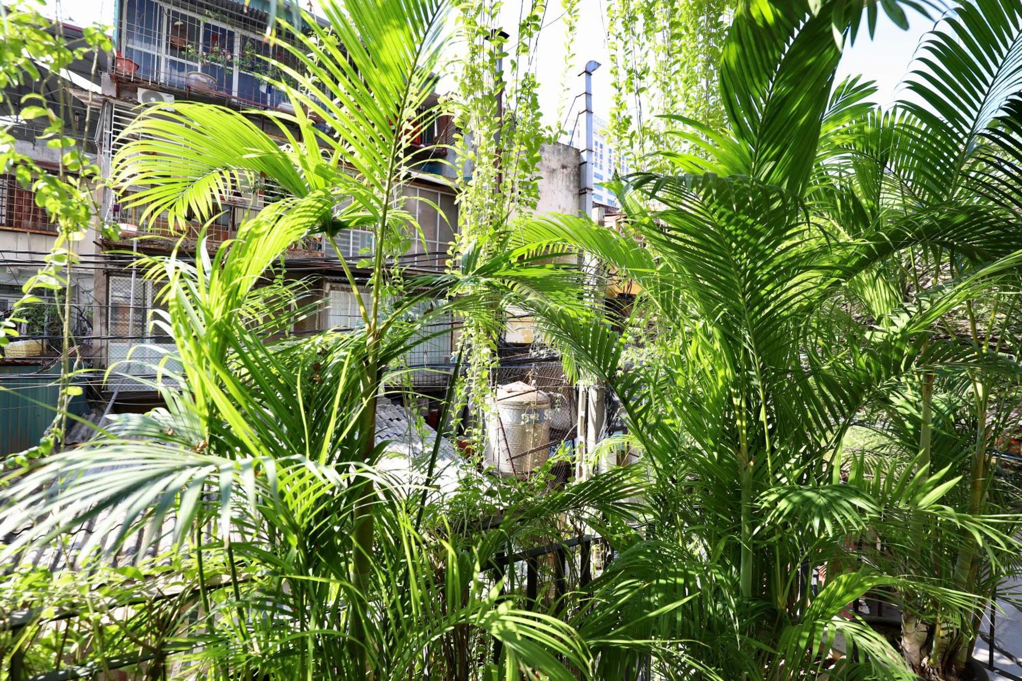 The Garden House Lejlighed Hanoi Eksteriør billede